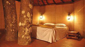 Dandeli Mist Jungle Stay, Dandeli 3